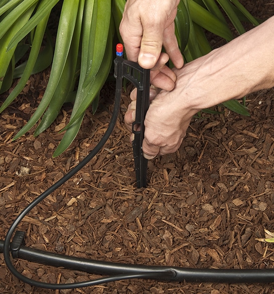 residential drip irrigation-system-in-tucson