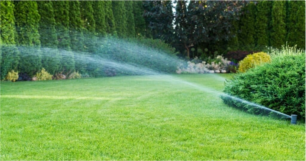 Get the Perfect Lawn with Monsoon Drip Irrigation System