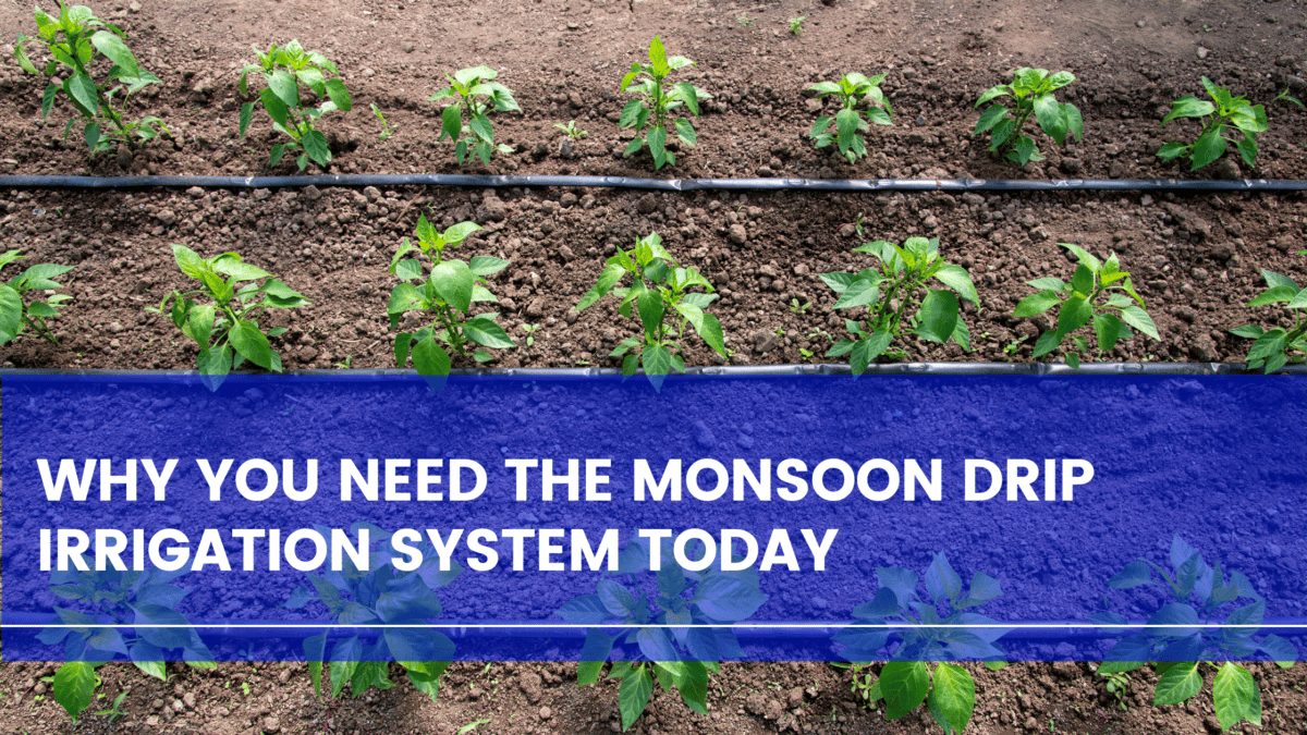 Why You Need the Monsoon Drip Irrigation System